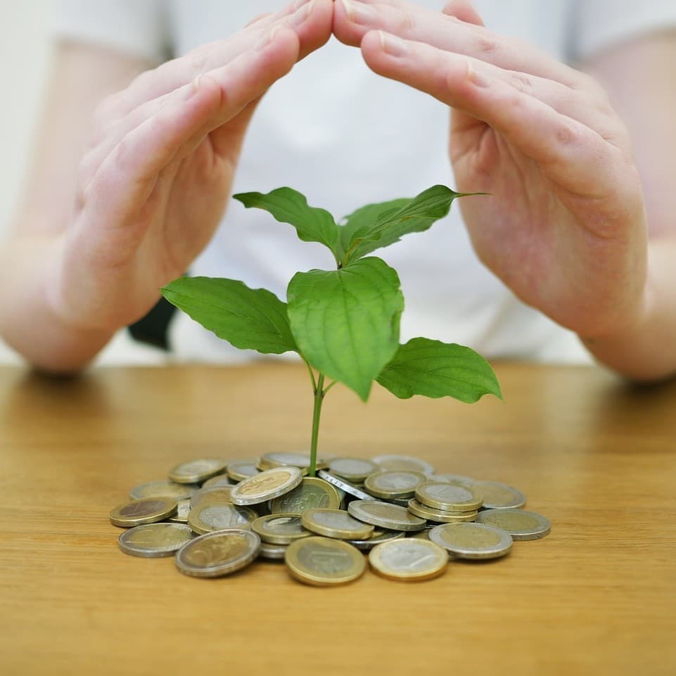 Investment growth illustration